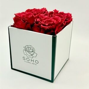 Soho Forever Roses 4 Preserved Red Roses in a Gift Box 4.5”x4”x4” Flowers